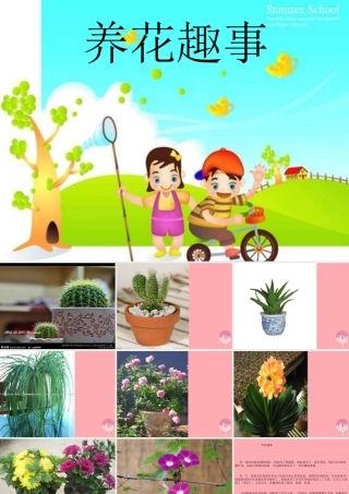 三年级语文上册 养花趣事课件1 长春版-长春版小学三年级上册语文课件