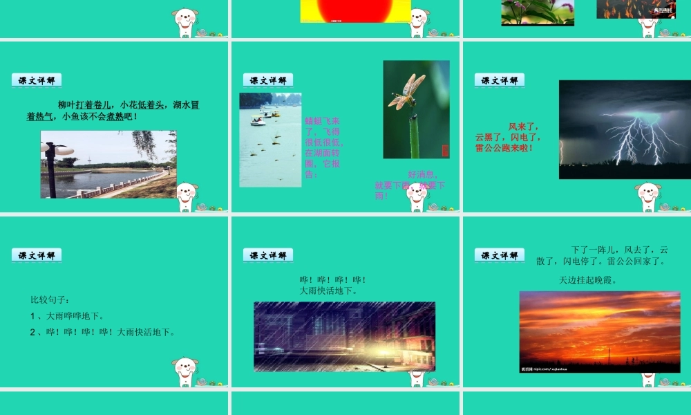 三年级语文上册 第八单元 22 夏天和冬天课件 鄂教版-鄂教版小学三年级上册语文课件