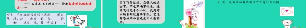 三年级语文上册 9《书信》语文天地课件 北师大版-北师大版小学三年级上册语文课件