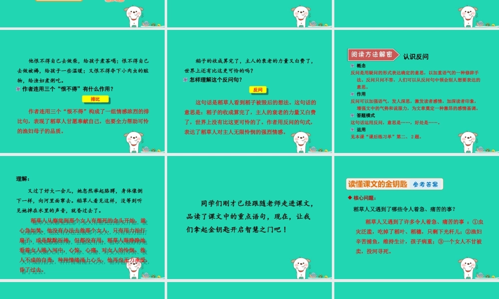 三年级语文上册 9《走进经典》稻草人（二）课件（第2课时）课件 长春版