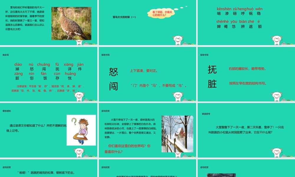 三年级语文上册 第八单元 23《雷鸟太太的时装（一）》教学课件 鄂教版-鄂教版小学三年级上册语文课件