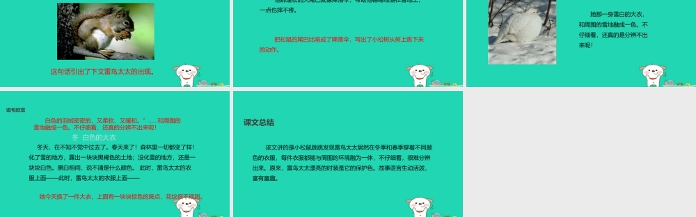 三年级语文上册 第八单元 23《雷鸟太太的时装（一）》教学课件 鄂教版-鄂教版小学三年级上册语文课件