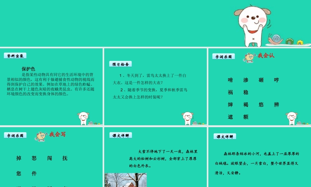 三年级语文上册 第八单元 23《雷鸟太太的时装（一）》课件 鄂教版