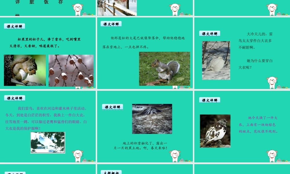 三年级语文上册 第八单元 23《雷鸟太太的时装（一）》课件 鄂教版