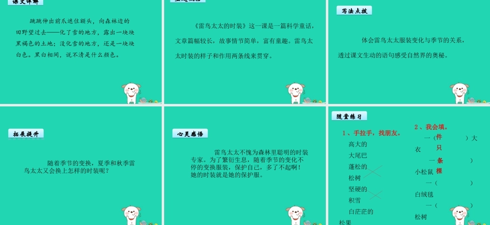 三年级语文上册 第八单元 23《雷鸟太太的时装（一）》课件 鄂教版