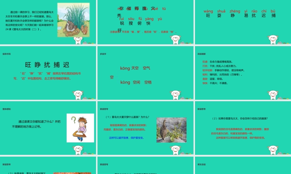 三年级语文上册 第八单元 24 雷鸟太太的时装（二）教学课件 鄂教版-鄂教版小学三年级上册语文课件