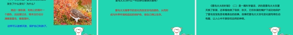 三年级语文上册 第八单元 24 雷鸟太太的时装（二）教学课件 鄂教版-鄂教版小学三年级上册语文课件