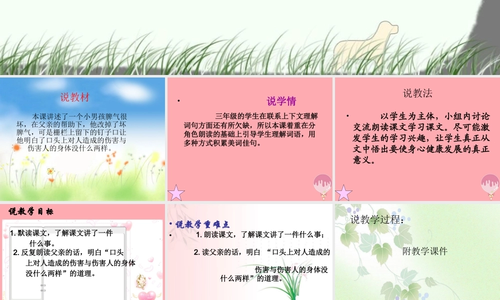 三年级语文上册 第六单元 钉子的故事课件1 西师大版-西师大版小学三年级上册语文课件