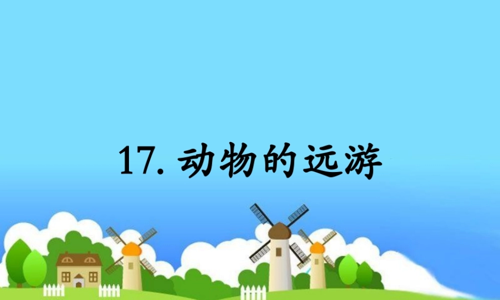 三年级语文上册 第六单元 动物的远游课件1 鄂教版-鄂教版小学三年级上册语文课件