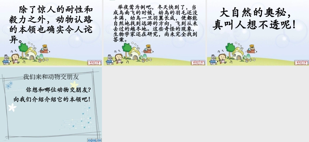 三年级语文上册 第六单元 动物的远游课件1 鄂教版-鄂教版小学三年级上册语文课件