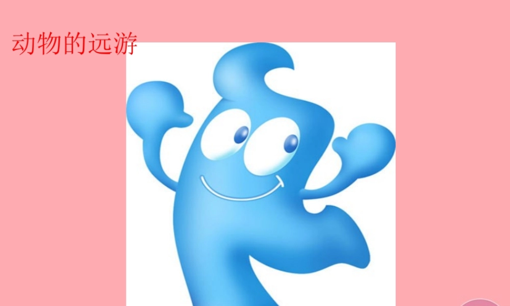 三年级语文上册 第六单元 动物的远游课件2 鄂教版-鄂教版小学三年级上册语文课件