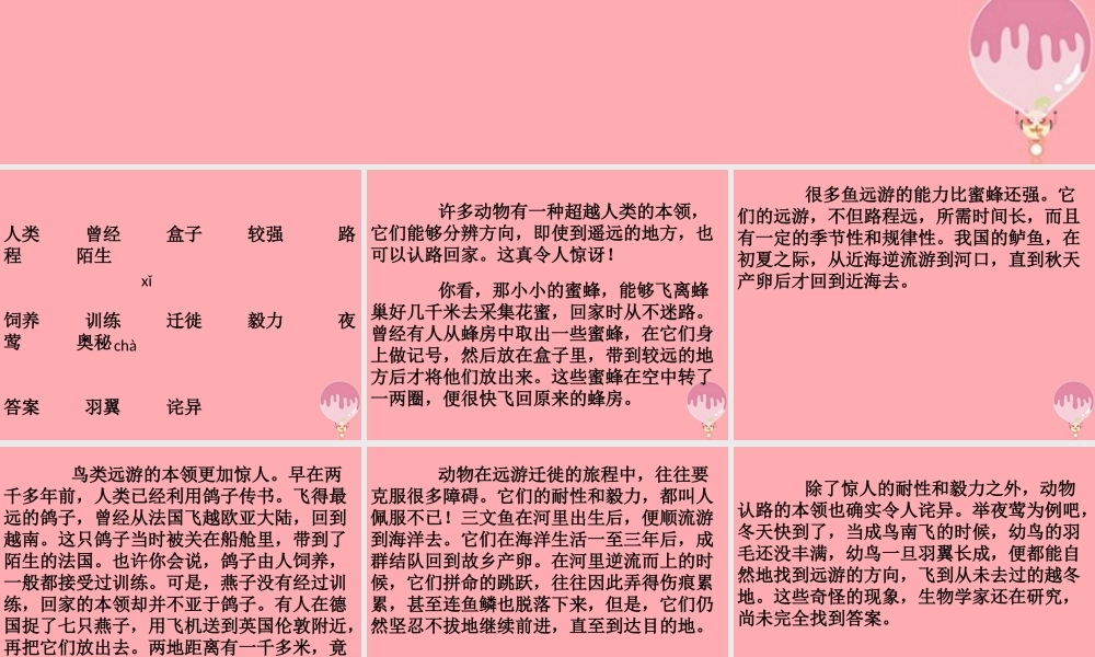 三年级语文上册 第六单元 动物的远游课件3 鄂教版-鄂教版小学三年级上册语文课件