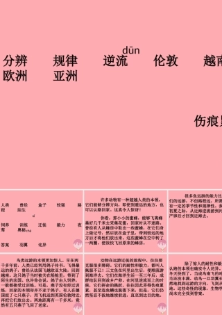三年级语文上册 第六单元 动物的远游课件3 鄂教版-鄂教版小学三年级上册语文课件