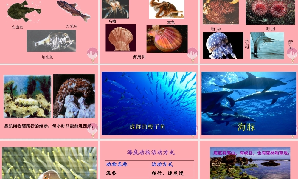 三年级语文上册 第六单元 海底世界课件1 长春版-长春版小学三年级上册语文课件