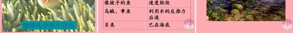 三年级语文上册 第六单元 海底世界课件1 长春版-长春版小学三年级上册语文课件