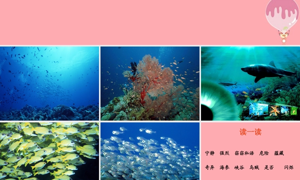 三年级语文上册 第六单元 海底世界课件2 长春版-长春版小学三年级上册语文课件
