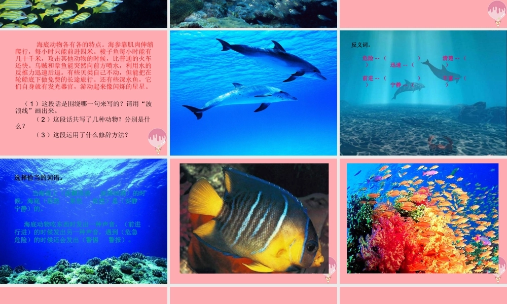 三年级语文上册 第六单元 海底世界课件2 长春版-长春版小学三年级上册语文课件