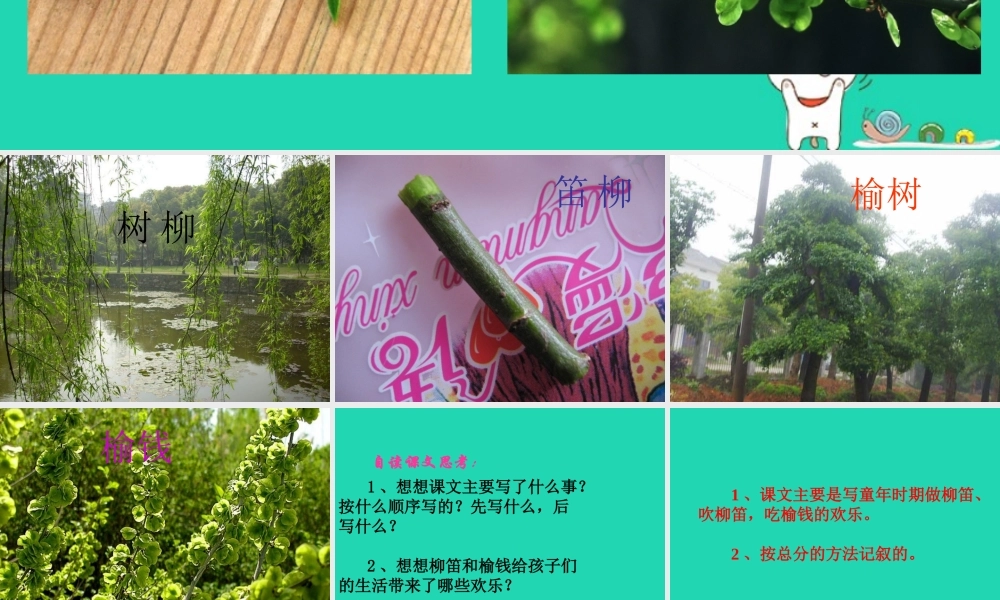 三年级语文上册 第三单元 11 柳笛和榆钱课件 冀教版