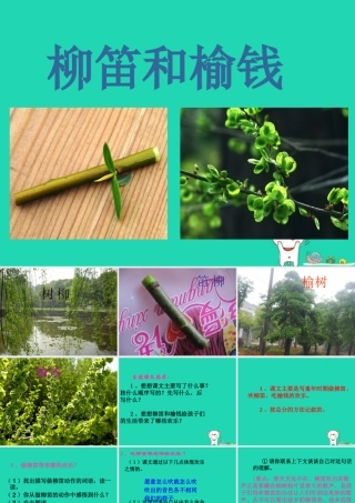 三年级语文上册 第三单元 11 柳笛和榆钱课件 冀教版