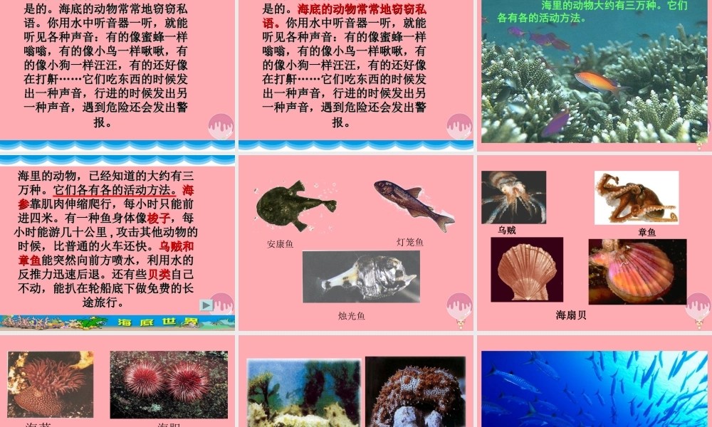 三年级语文上册 第六单元 海底世界课件3 长春版-长春版小学三年级上册语文课件