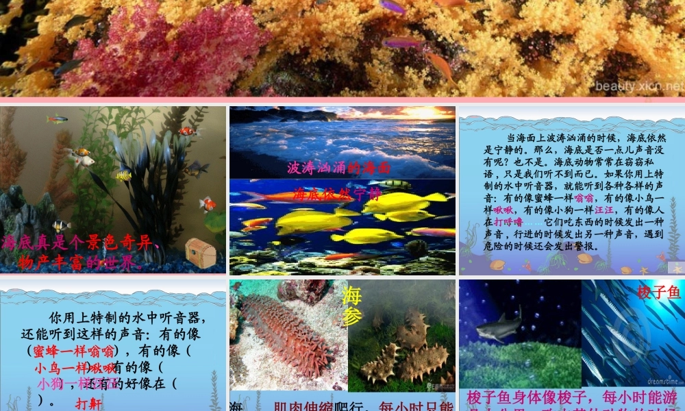 三年级语文上册 第六单元 海底世界课件4 长春版-长春版小学三年级上册语文课件