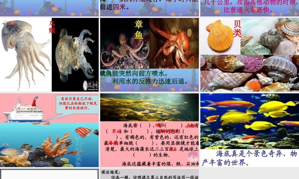 三年级语文上册 第六单元 海底世界课件4 长春版-长春版小学三年级上册语文课件