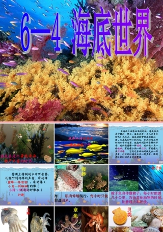 三年级语文上册 第六单元 海底世界课件4 长春版-长春版小学三年级上册语文课件