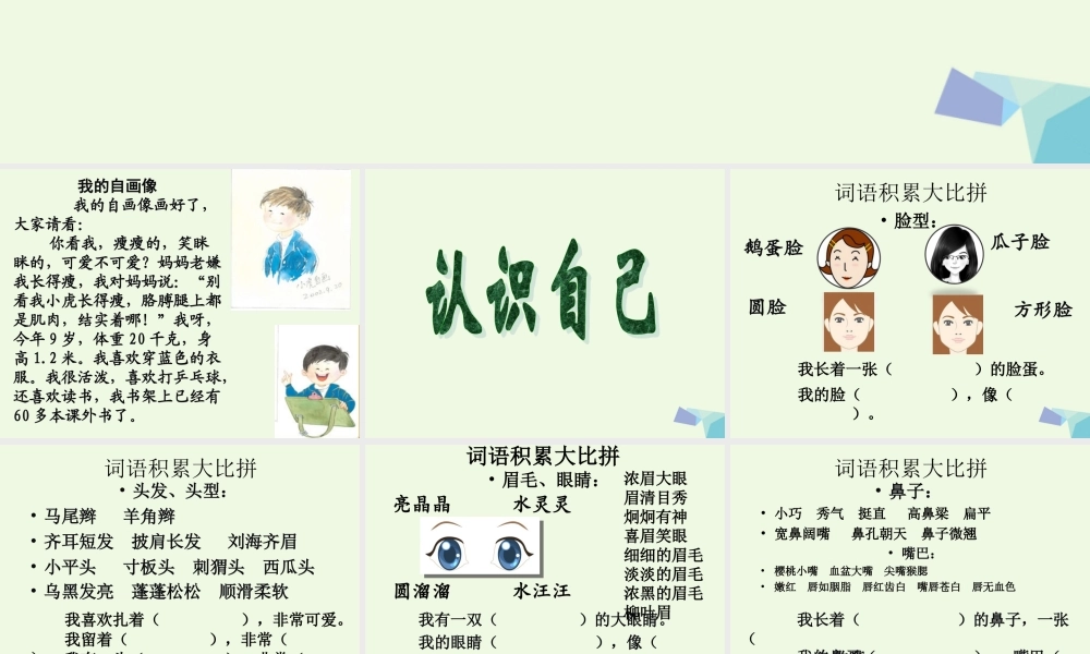 三年级语文上册 习作二 我的自画像作文课件5 苏教版-苏教版小学三年级上册语文课件