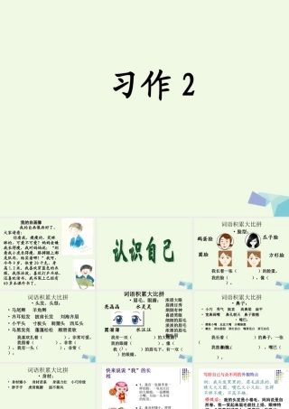 三年级语文上册 习作二 我的自画像作文课件5 苏教版-苏教版小学三年级上册语文课件