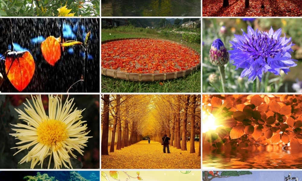 三年级语文上册 第三单元 11《秋天的雨》课件2 鲁教版-鲁教版小学三年级上册语文课件