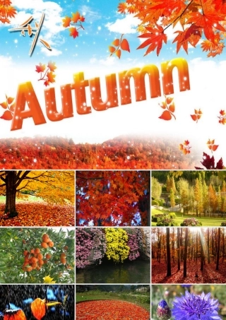 三年级语文上册 第三单元 11《秋天的雨》课件2 鲁教版-鲁教版小学三年级上册语文课件