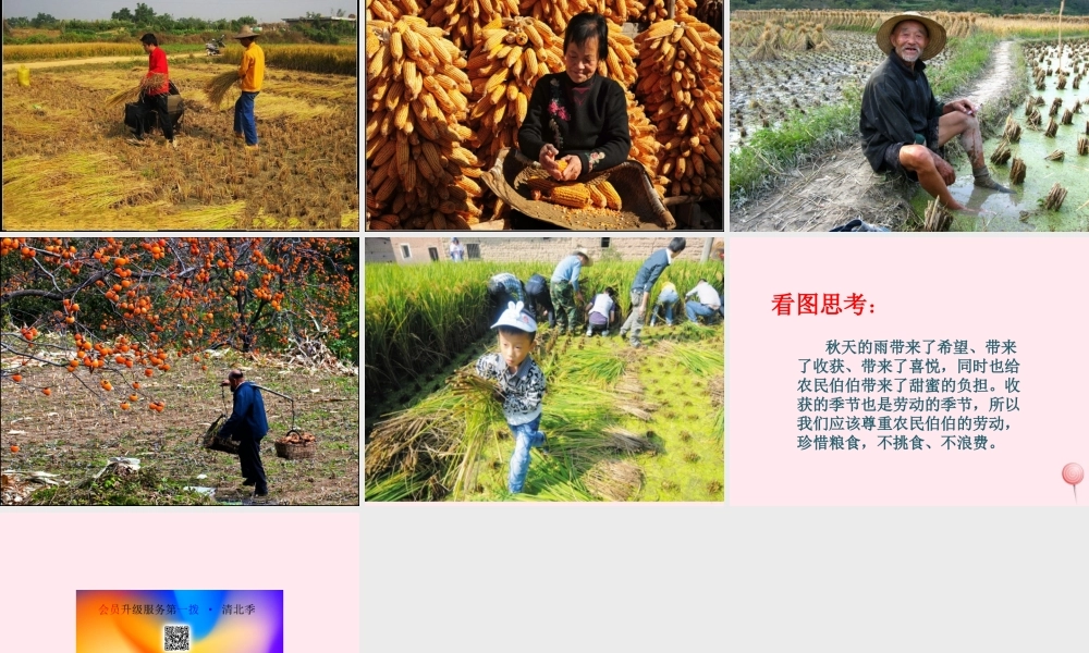 三年级语文上册 第三单元 11《秋天的雨》名优课件 鲁教版-鲁教版小学三年级上册语文课件