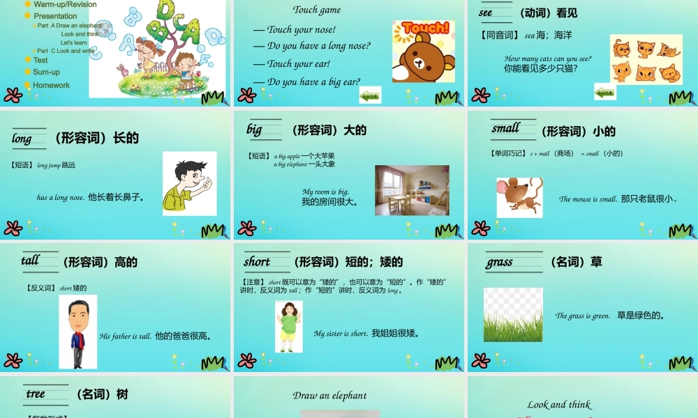 三年级英语下册 Unit 8 The Ruler Is Long（第1课时）课件 陕旅版（三起）-陕旅版小学三年级下册英语课件