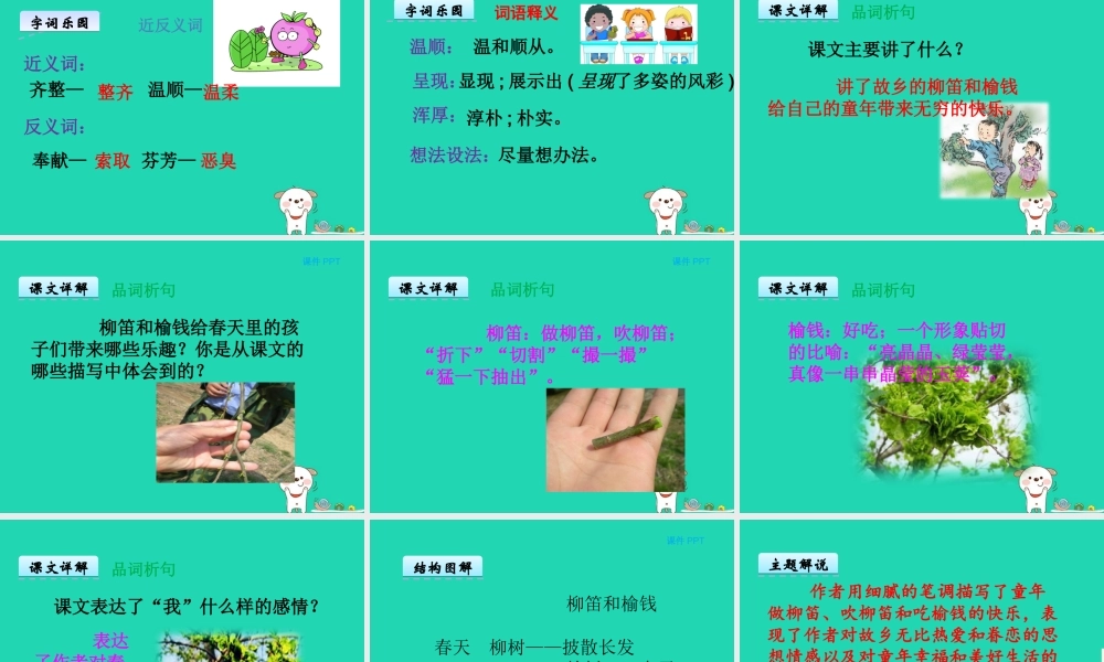 三年级语文上册 第三单元 11柳笛和榆钱课件 冀教版-冀教版小学三年级上册语文课件