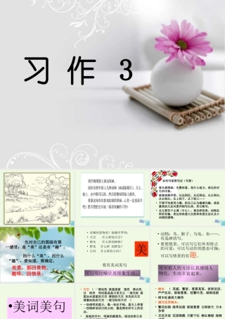 三年级语文上册 习作三 看图写话作文课件1 苏教版-苏教版小学三年级上册语文课件