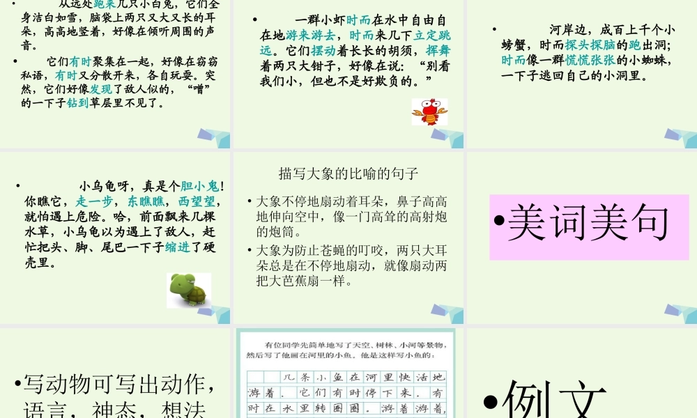 三年级语文上册 习作三 看图写话作文课件2 苏教版-苏教版小学三年级上册语文课件