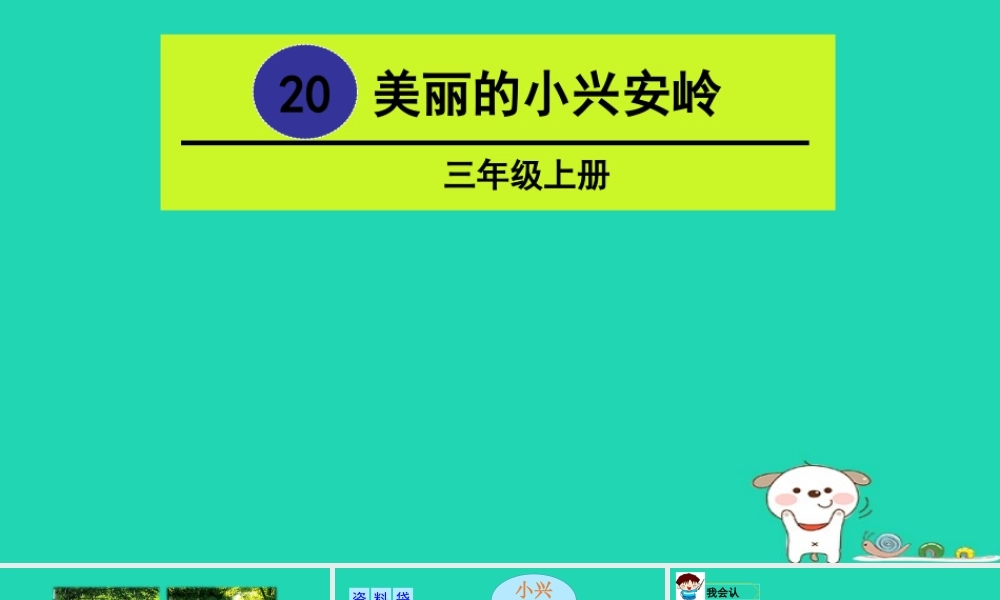 三年级语文上册 第六单元 丽的小兴安岭课件2 新人教版-新人教级上册语文课件
