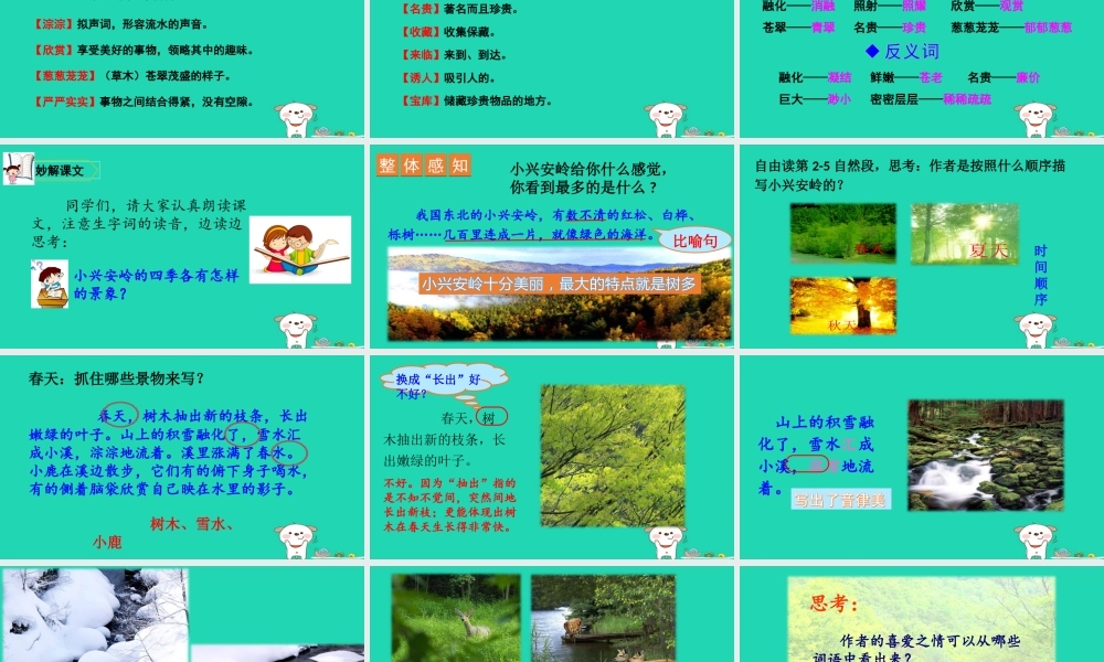 三年级语文上册 第六单元 丽的小兴安岭课件2 新人教版-新人教级上册语文课件