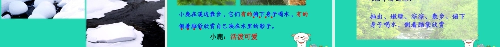三年级语文上册 第六单元 丽的小兴安岭课件2 新人教版-新人教级上册语文课件