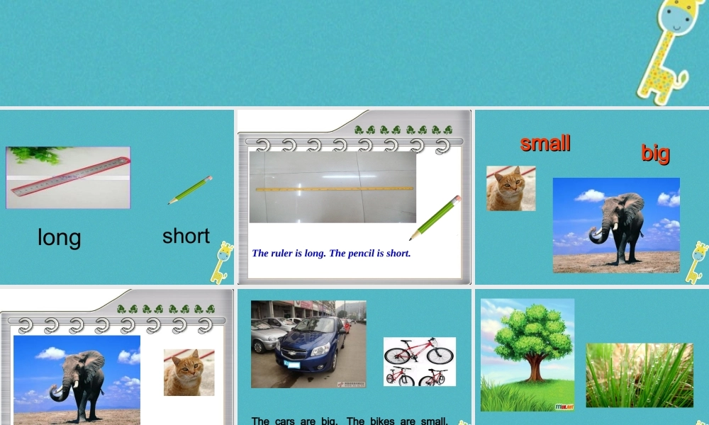 三年级英语下册 Unit 8 The Ruler Is Long课件1 陕旅版-陕旅版小学三年级下册英语课件