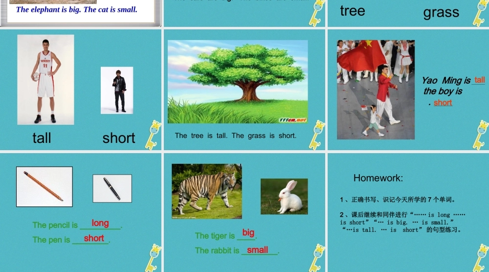 三年级英语下册 Unit 8 The Ruler Is Long课件1 陕旅版-陕旅版小学三年级下册英语课件