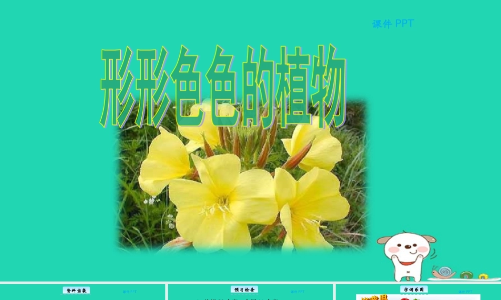 三年级语文上册 第三单元 12 形形色色的植物教学课件 北京版-北京版小学三年级上册语文课件