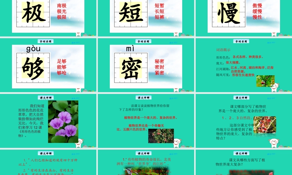 三年级语文上册 第三单元 12 形形色色的植物教学课件 北京版-北京版小学三年级上册语文课件