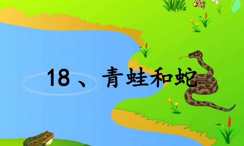 三年级语文上册 第六单元 青蛙和蛇课件1 鄂教版-鄂教版小学三年级上册语文课件