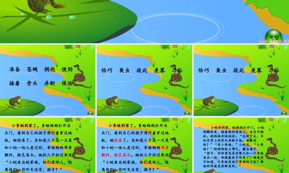 三年级语文上册 第六单元 青蛙和蛇课件1 鄂教版-鄂教版小学三年级上册语文课件