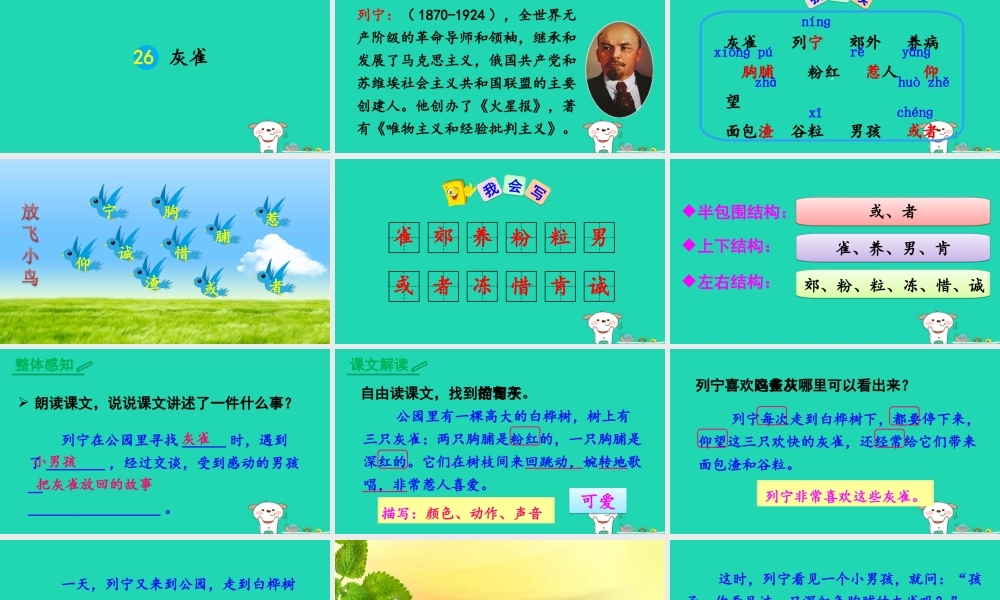 三年级语文上册 第八单元 26 灰雀课件3 新人教版-新人教版小学三年级上册语文课件