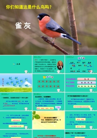 三年级语文上册 第八单元 26 灰雀课件3 新人教版-新人教版小学三年级上册语文课件