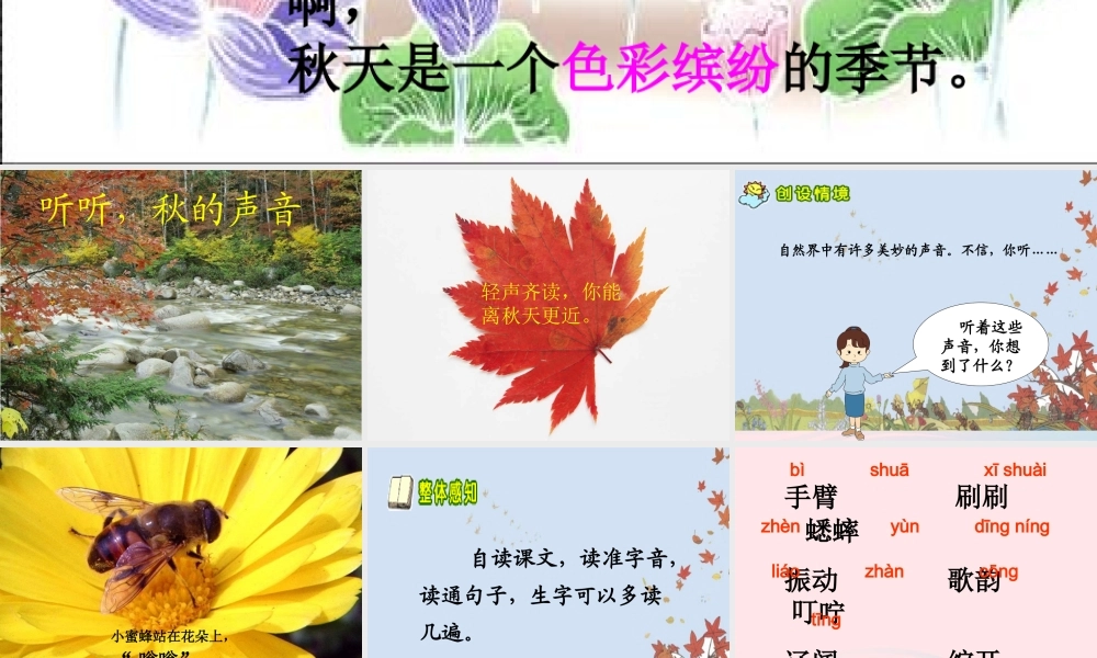 三年级语文上册 第三单元 12《听听，秋的声音》课件1 鲁教版-鲁教版小学三年级上册语文课件