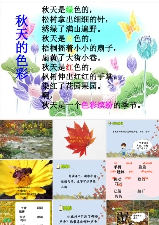 三年级语文上册 第三单元 12《听听，秋的声音》课件1 鲁教版-鲁教版小学三年级上册语文课件