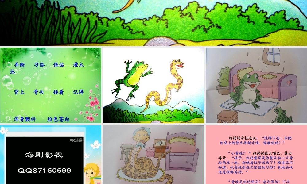 三年级语文上册 第六单元 青蛙和蛇课件3 鄂教版-鄂教版小学三年级上册语文课件